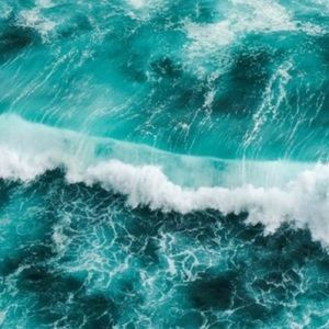 Meet your Posher, Isabelle